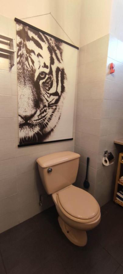 Central Studio نيس المظهر الخارجي الصورة
